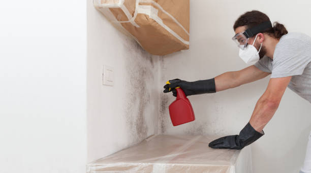 Professional Hvac And Air Duct Mold Remediation technician working in Newton Center, MA